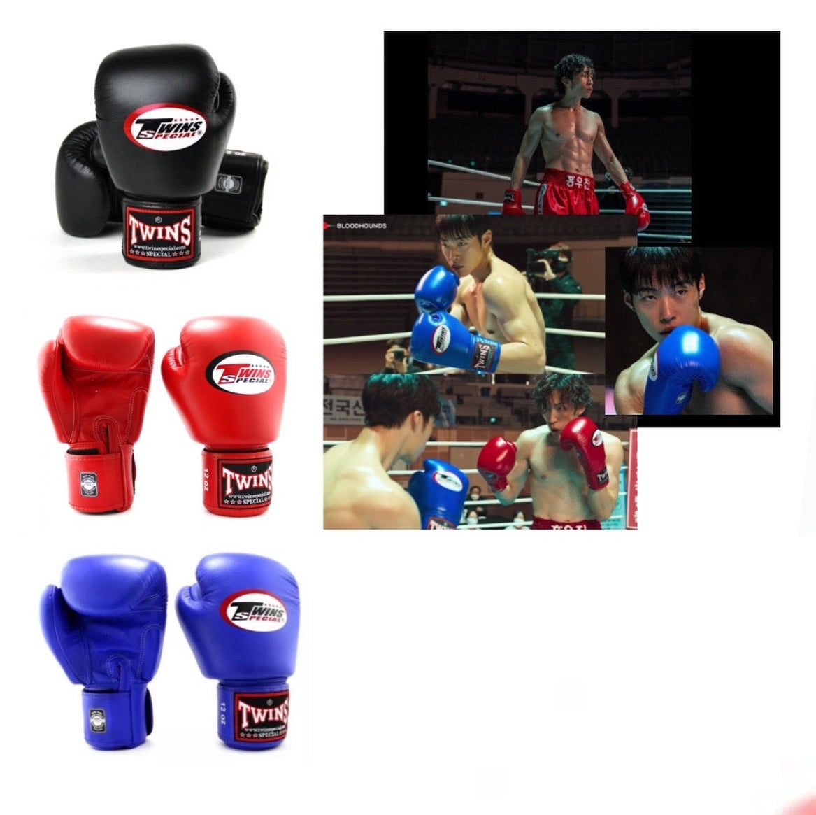 Bloodhound lookalike twin special boxing gloves 1 set [PRE - ORDER]